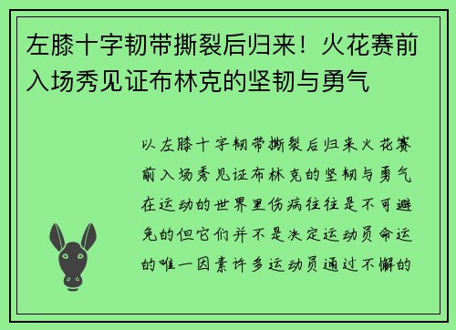 左膝十字韧带撕裂后归来！火花赛前入场秀见证布林克的坚韧与勇气